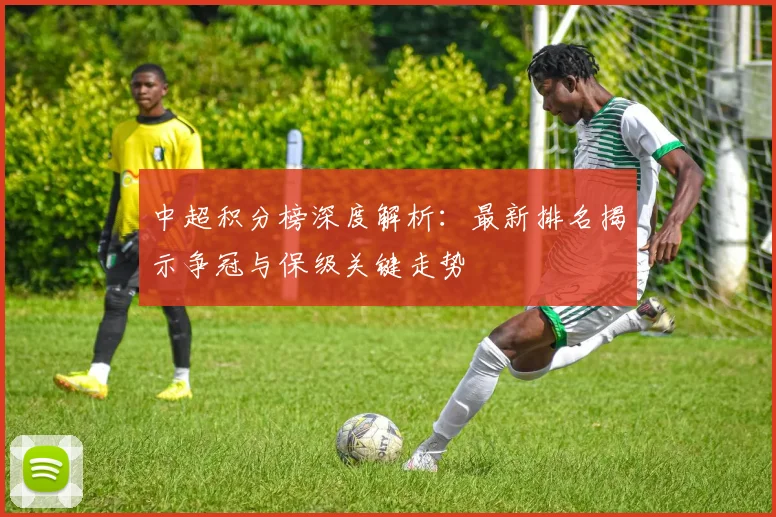 中超积分榜深度解析：最新排名揭示争冠与保级关键走势