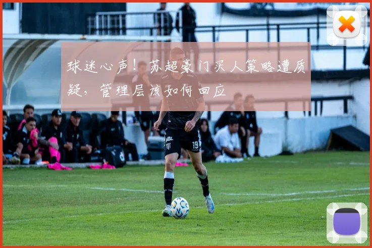 球迷心声！苏超豪门买人策略遭质疑，管理层该如何回应